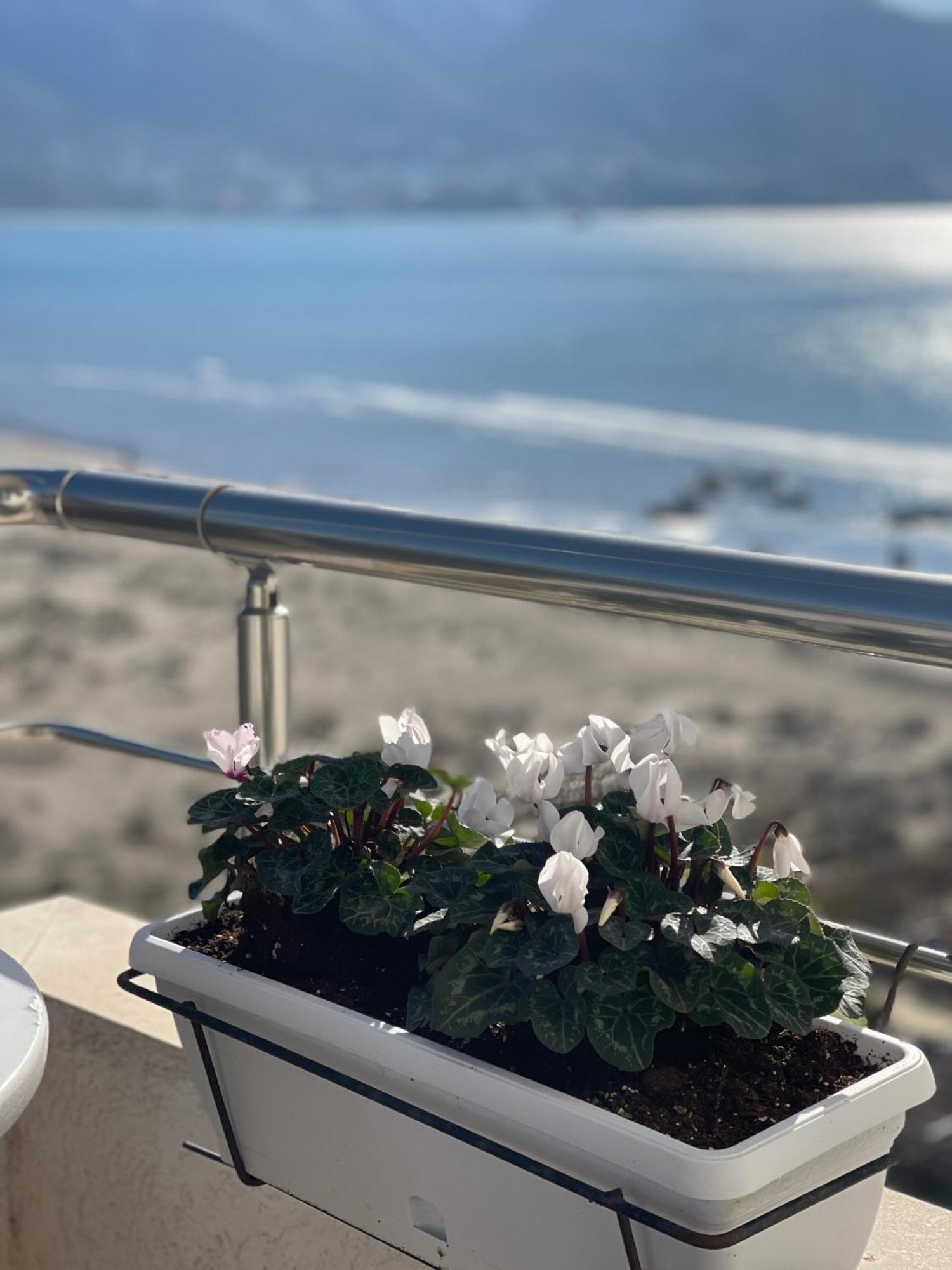 Seaview Apartments Rental Vlorë Buitenkant foto